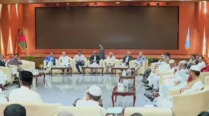 জুলাই সনদ বাস্তবায়নে ‘বিশেষ সাংবিধানিক আদেশ’ জারির পরামর্শ