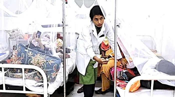 ডেঙ্গুতে আরও ২ জনের মৃত্যু, হাসপাতালে ভর্তি ৭২৩