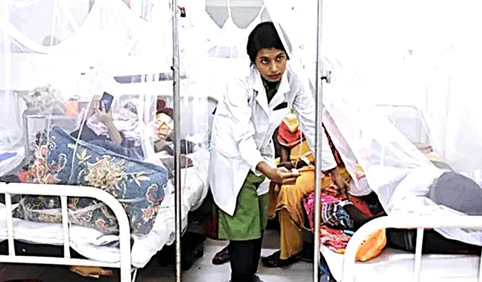 ডেঙ্গুতে আরও ২ জনের মৃত্যু, হাসপাতালে ভর্তি ৭২৩
